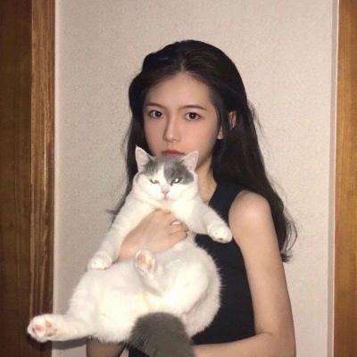 露娜幻想曲官方下载